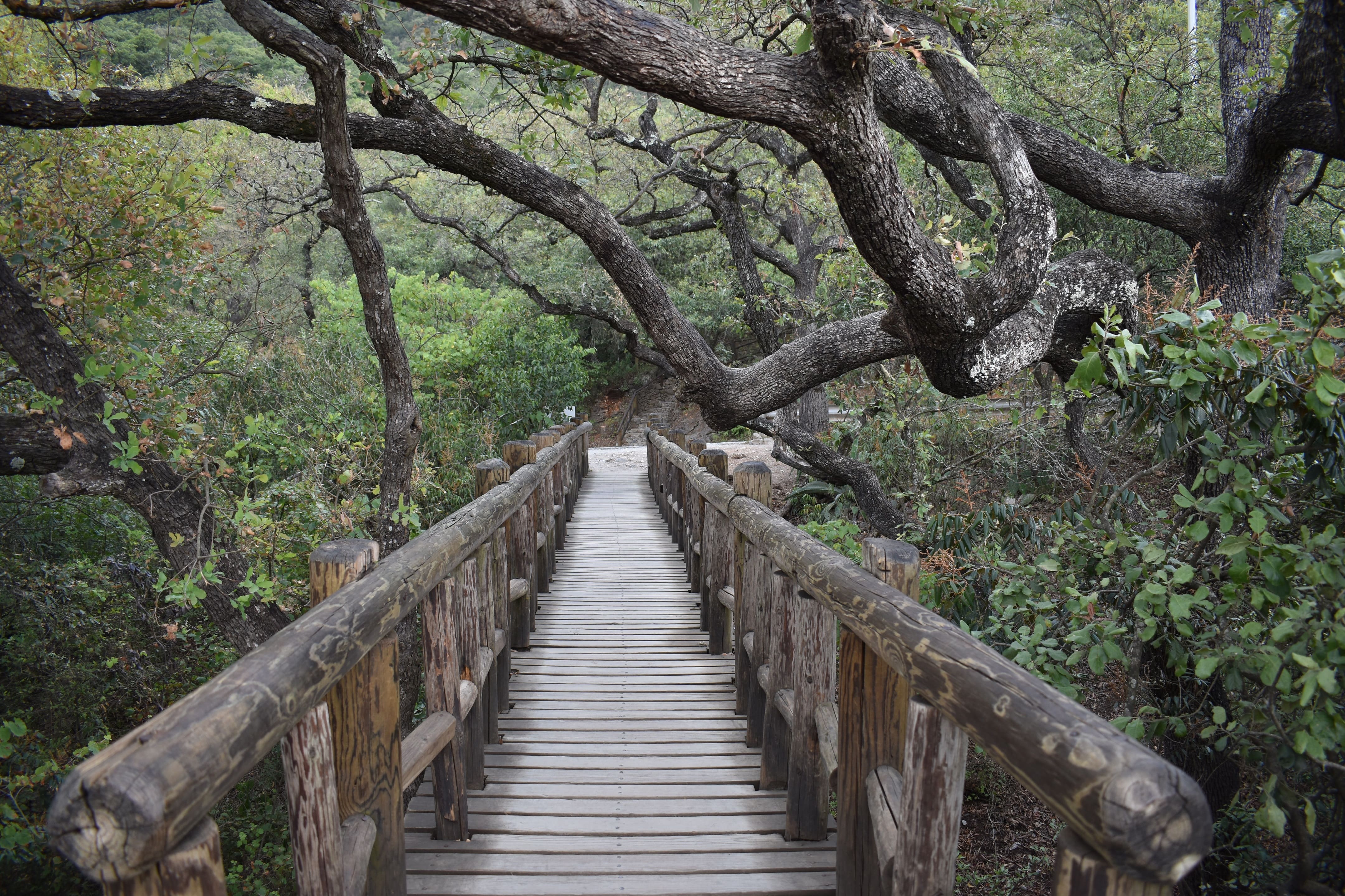 Mirador Chipinque