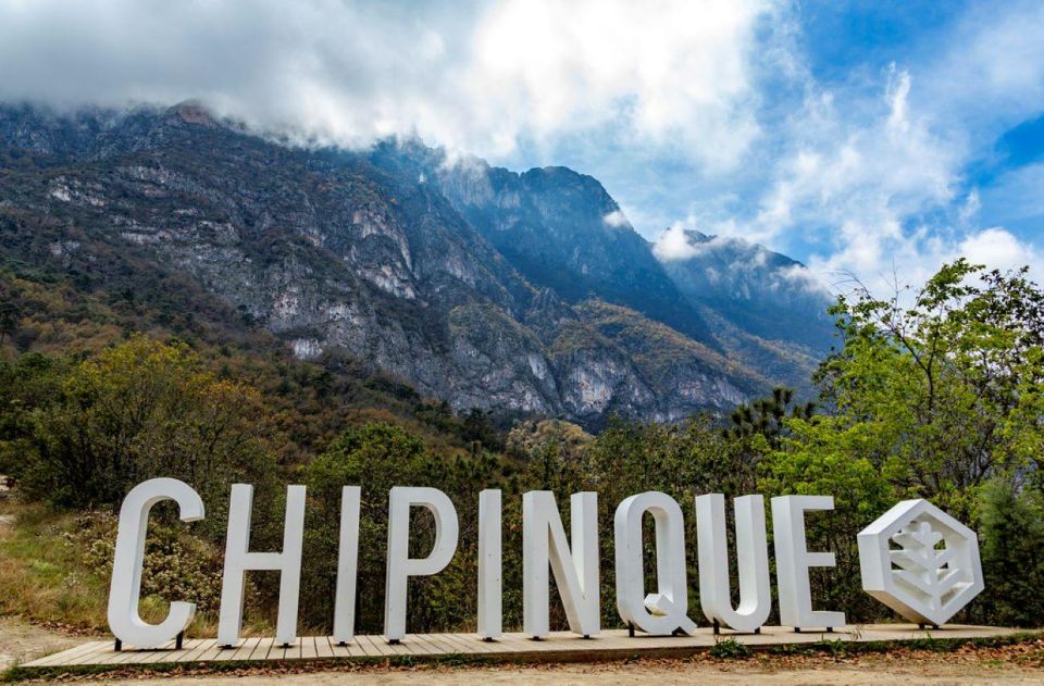 Bosque Chipinque
