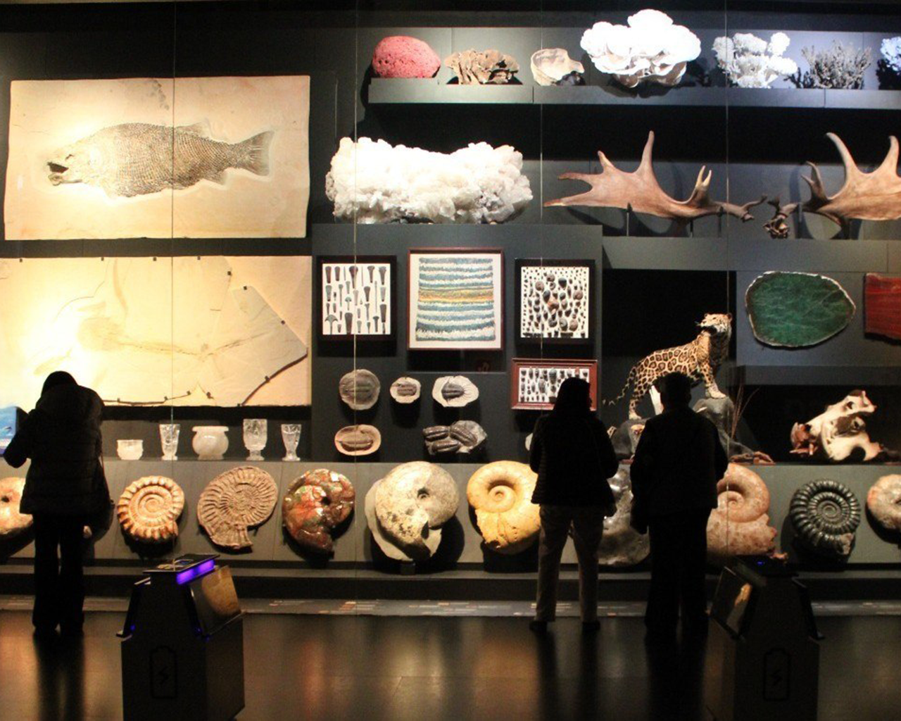 Interior Milarca